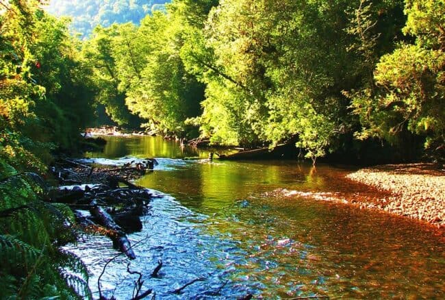 Parque Nacional Alerce Andino