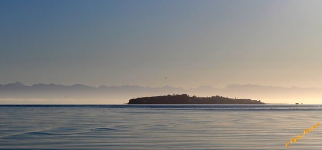 Isla Teuquelin