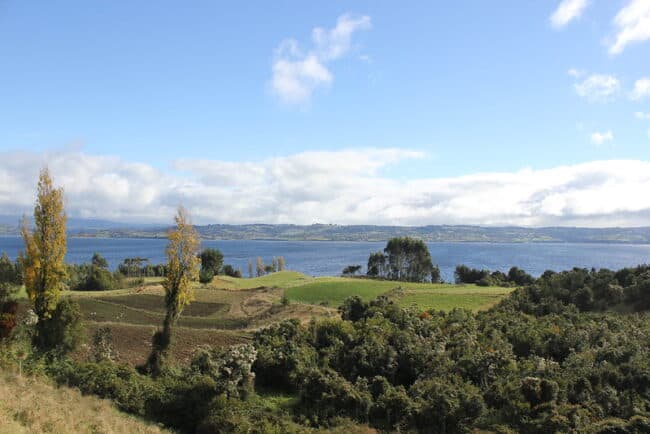 Puqueldon