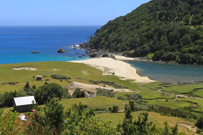 estival de las Bayas de Río Negro