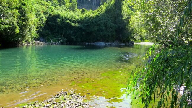 Río San Pedro