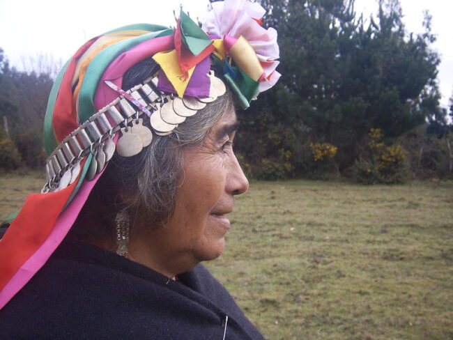 Casa de la Mujer Mapuche