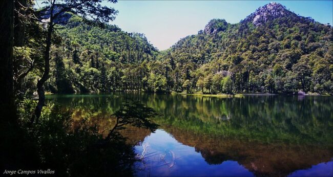 Laguna Angelina