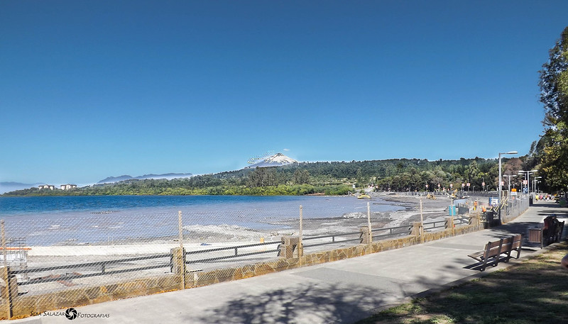 Playa Los Álamos: Un Retiro Natural en Villarrica - VisitarChile