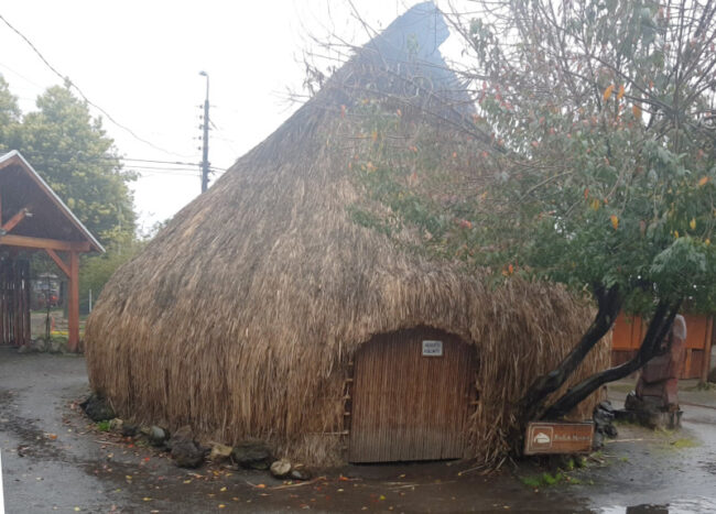 Ruka Muestra Cultural Mapuche...