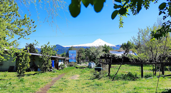 Camping La Alternativa 2