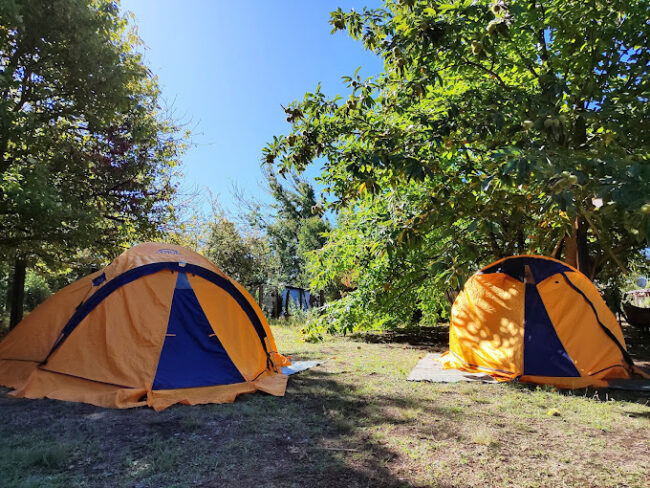 Camping La Alternativa