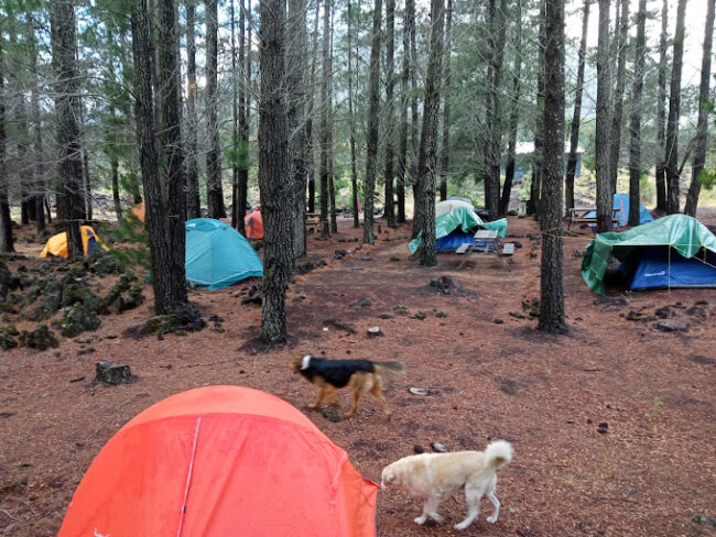 Camping y Cabaña El Truful