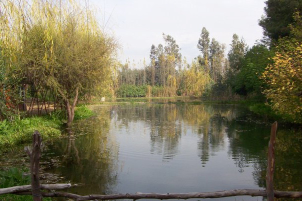 Lamparaiso Flyfishing