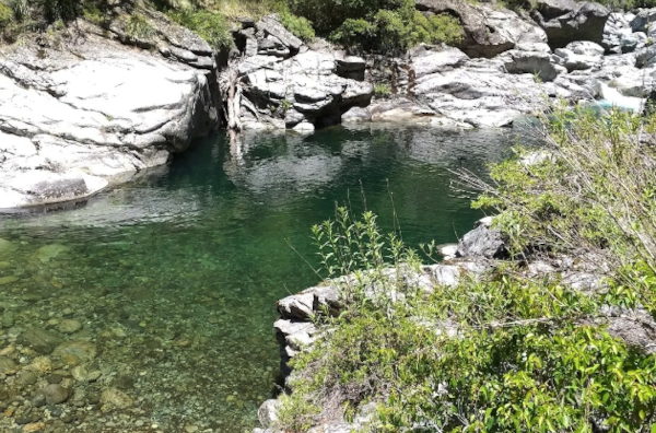 Reserva Nacional Los Huemules del Niblinto