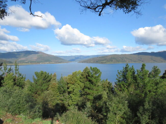 Cañete
