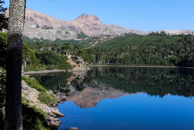 Laguna La Mula