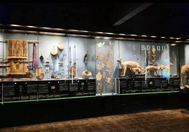 MUSEO DE HISTORIA NATURAL DE CONCEPCIÓN