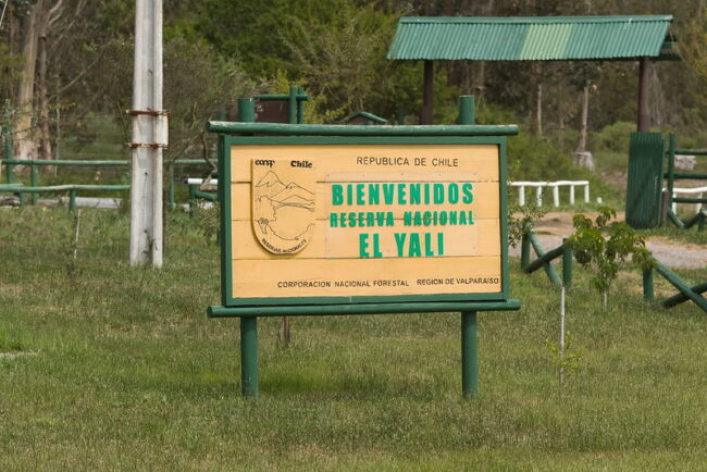 Reserva Nacional El Yali