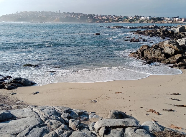 PLAYA LAS CAÑITAS