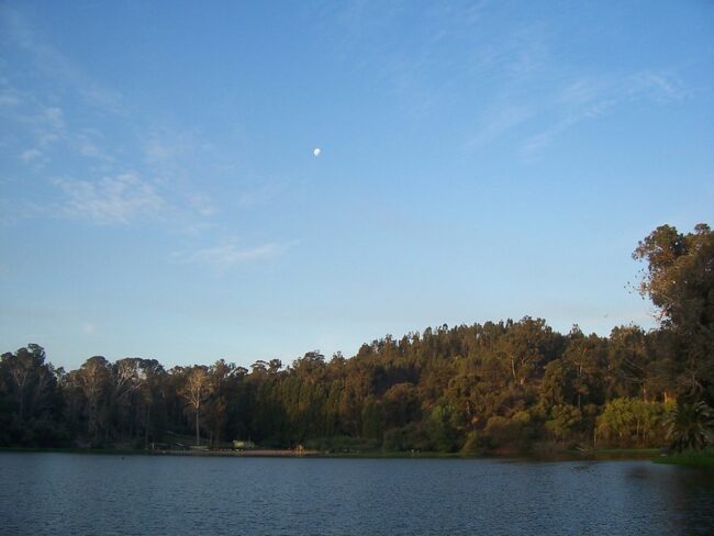 Laguna Sausalito