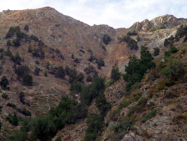 Serranía El Ciprés